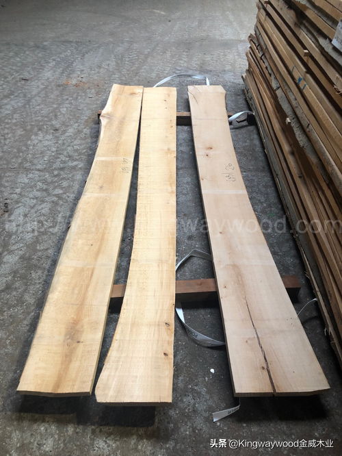 金威木业进口榉木,木质玩具 小部件 家具摆件 工艺品等用料