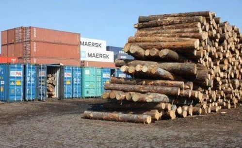 俄原木出口禁令暂时延期 印度木材成稀缺商品