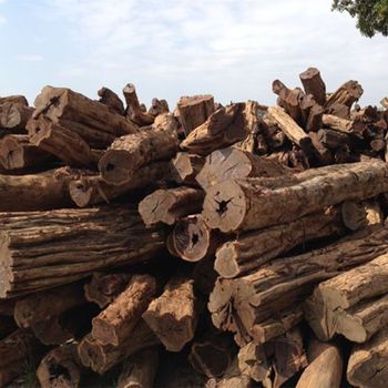 厂家长期批发供应进口非洲乌木 黑酸枝 原木 欢迎选购
