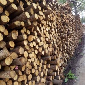 头径原木出售「中木商网」赤壁市道贵木材经销部产品,批发,价格,厂家