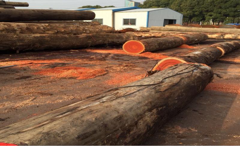 厂家经销实用非洲红花梨原木 进口防腐大径红花梨板材原木批发